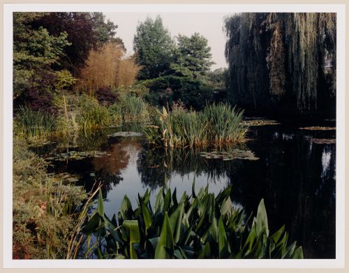 The pond in the Summer, Monet Gardens, Giverny, France