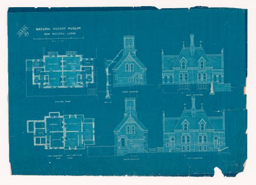 Natural History Museum / New Western Lodge: Plans, elevations and section