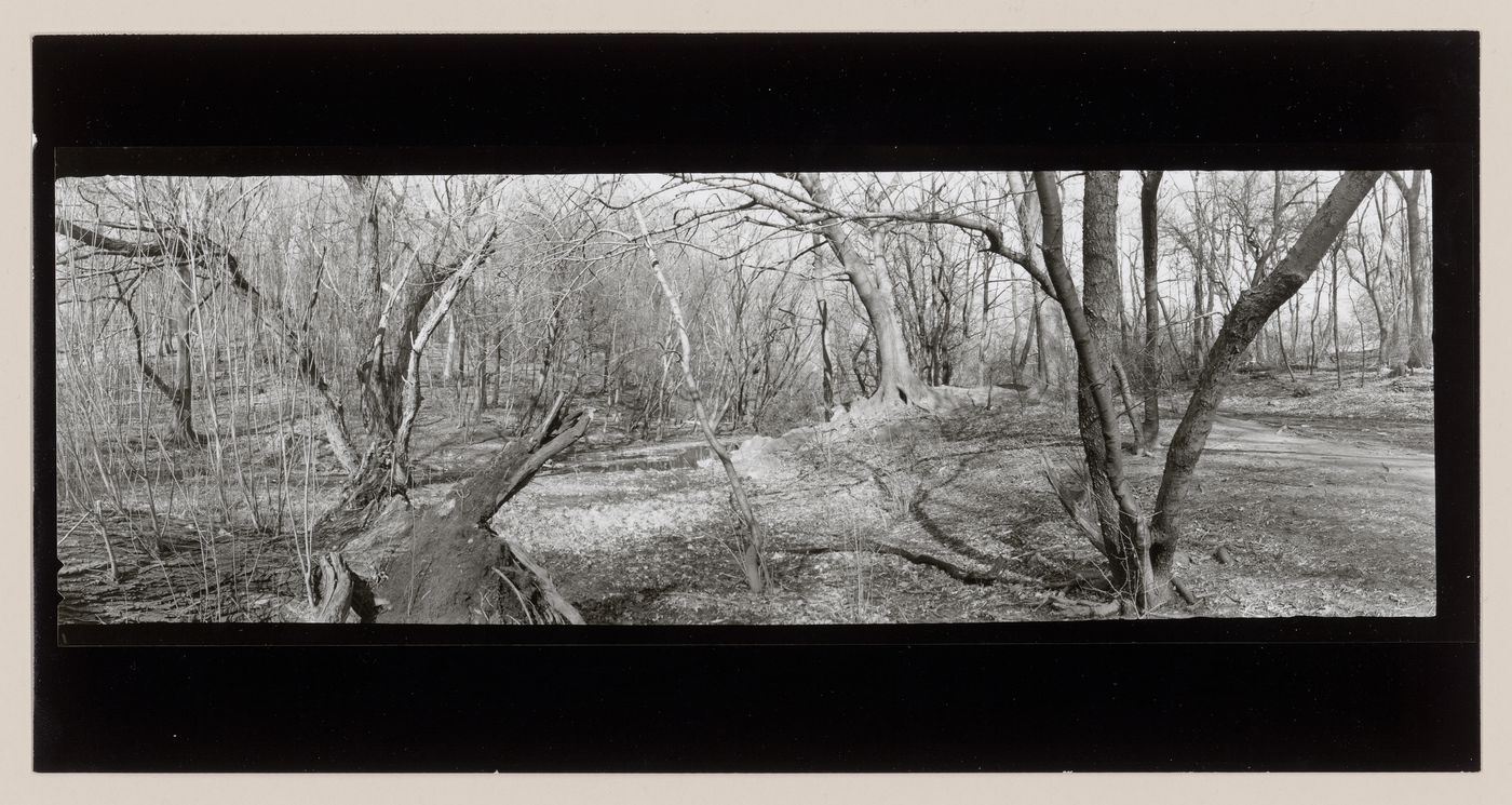 The Ravine, Central Park, New York City, New York