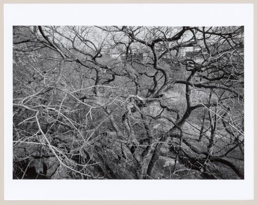 Morningside Park, Bronx, New York City, New York