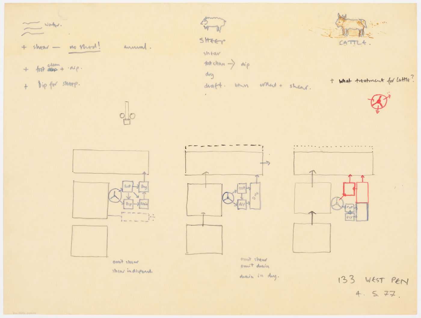 Diagrammatic plans for livestock pens with notes related to treatment of sheep and cattle (document from Westpen project records)