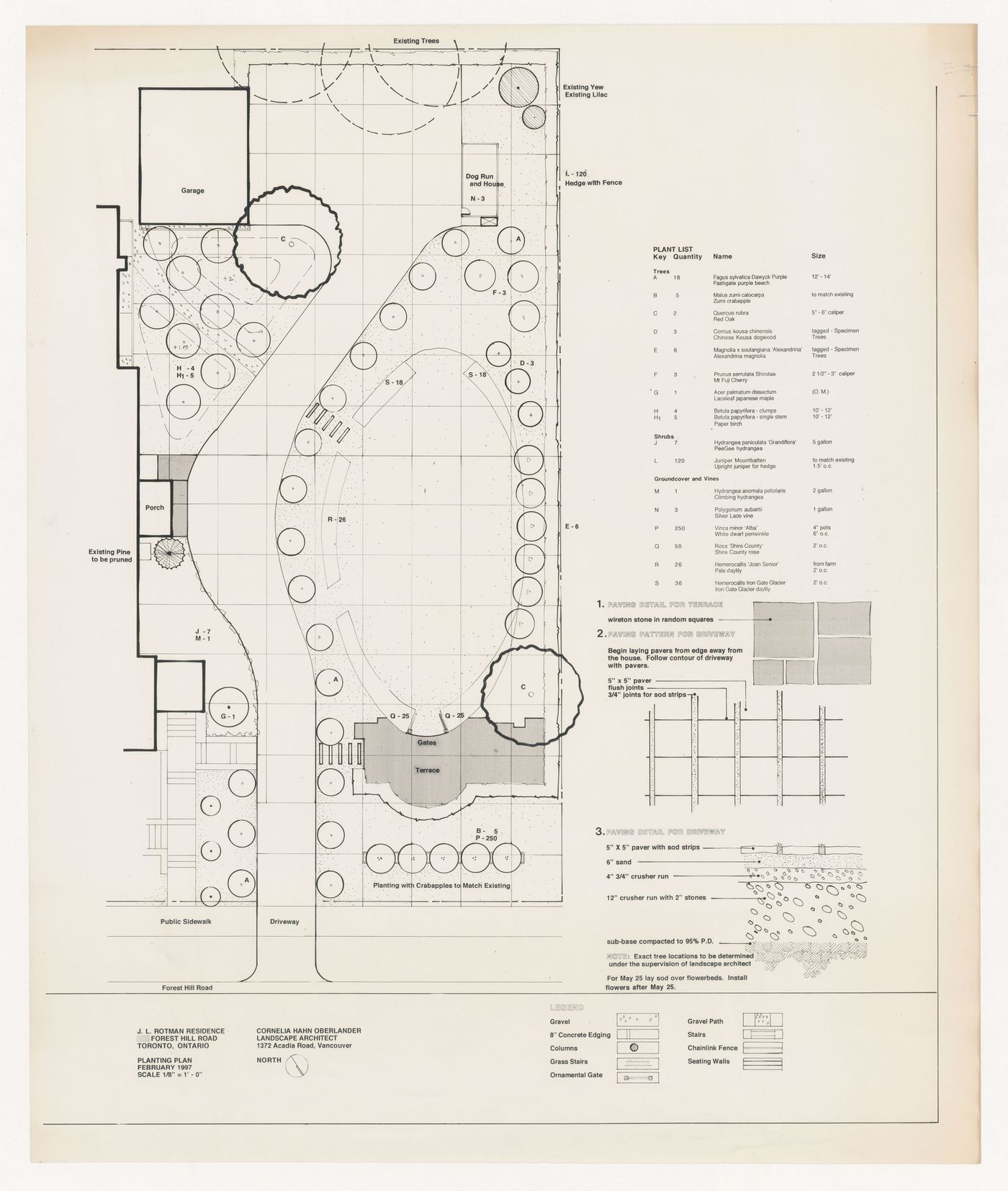 Planting plan, Joseph Rotman Residence, Toronto, Ontario