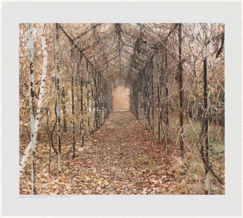 Pergola and chimney, Scuola elementare Salvatore Orrù, Fagnano Olona, Italy