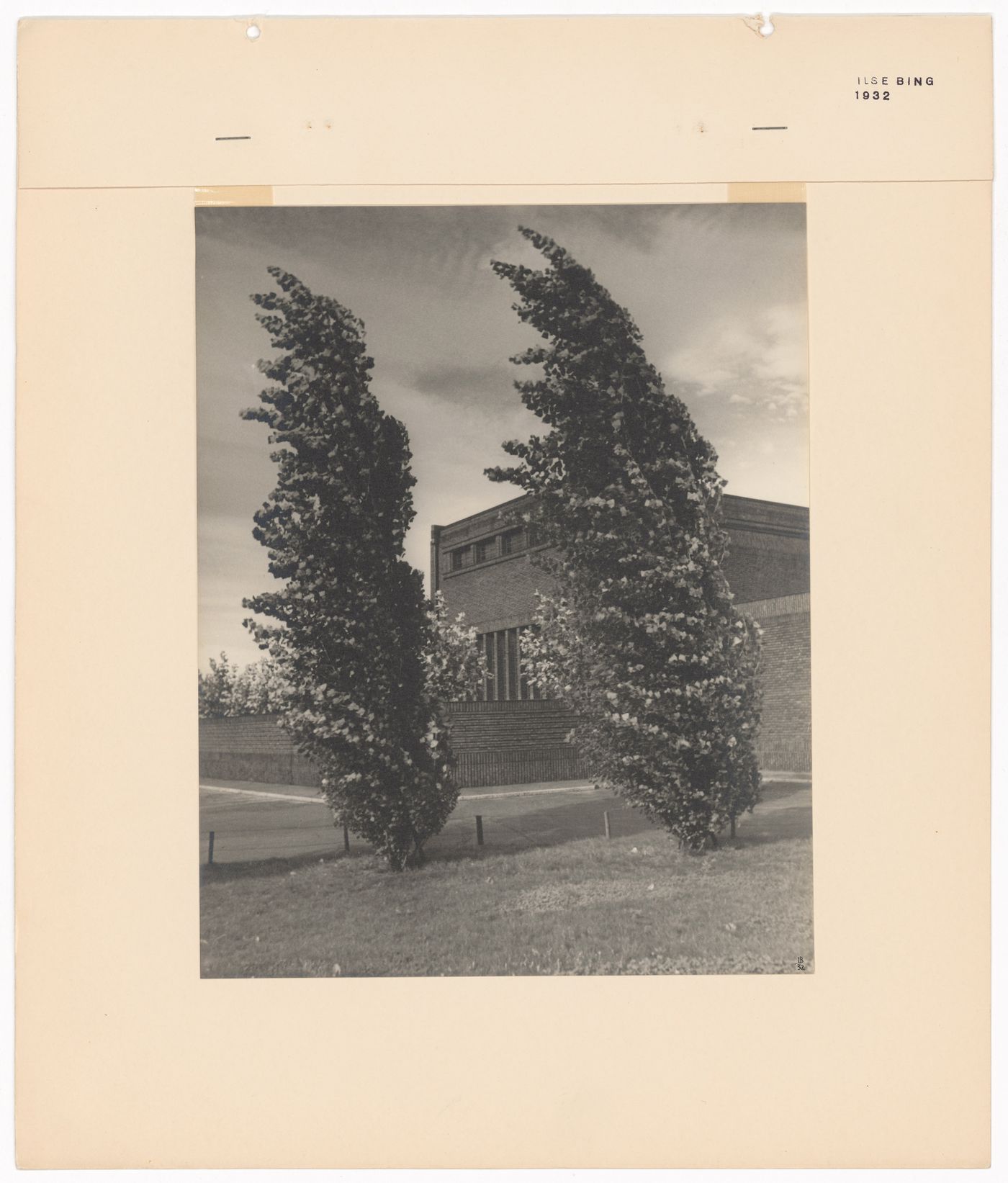 View of trees and a brick building in the New Jewish Cemetery [Neuer Jüdischer Friedhof], Frankfurt am Main, Germany