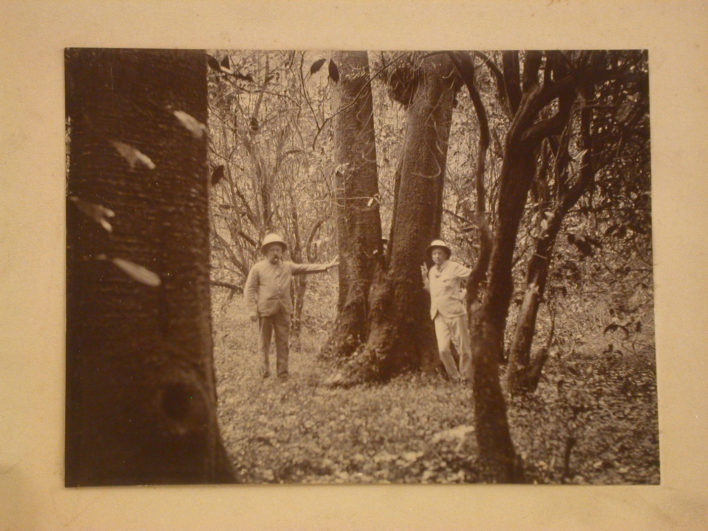 View of two men posing beside a tree trunk in a wooded area