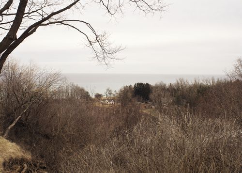 An Enduring Wilderness: View of fool's Paradise, Doris McCarthy Home, Gates Gully, Bellamy Ravine, Toronto