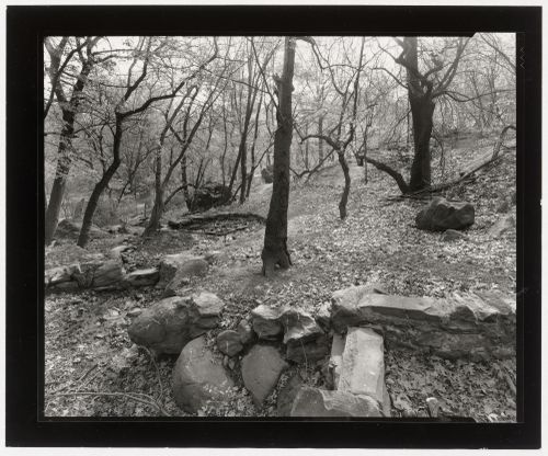 The Cliff, Central Park, New York City, New York, 1994