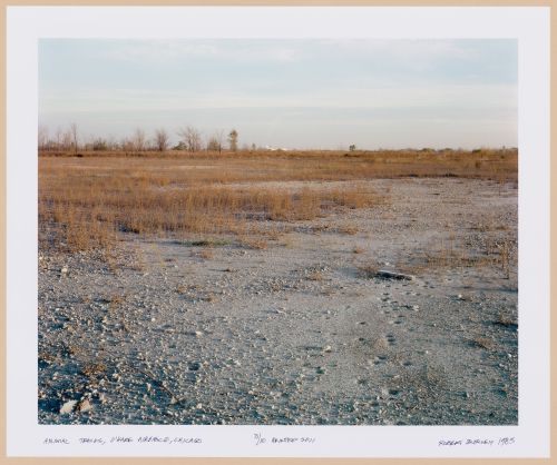 ORD: O’Hare Airfield: View of Animal Tracks on Airfield, O'Hare Airfield, Chicago