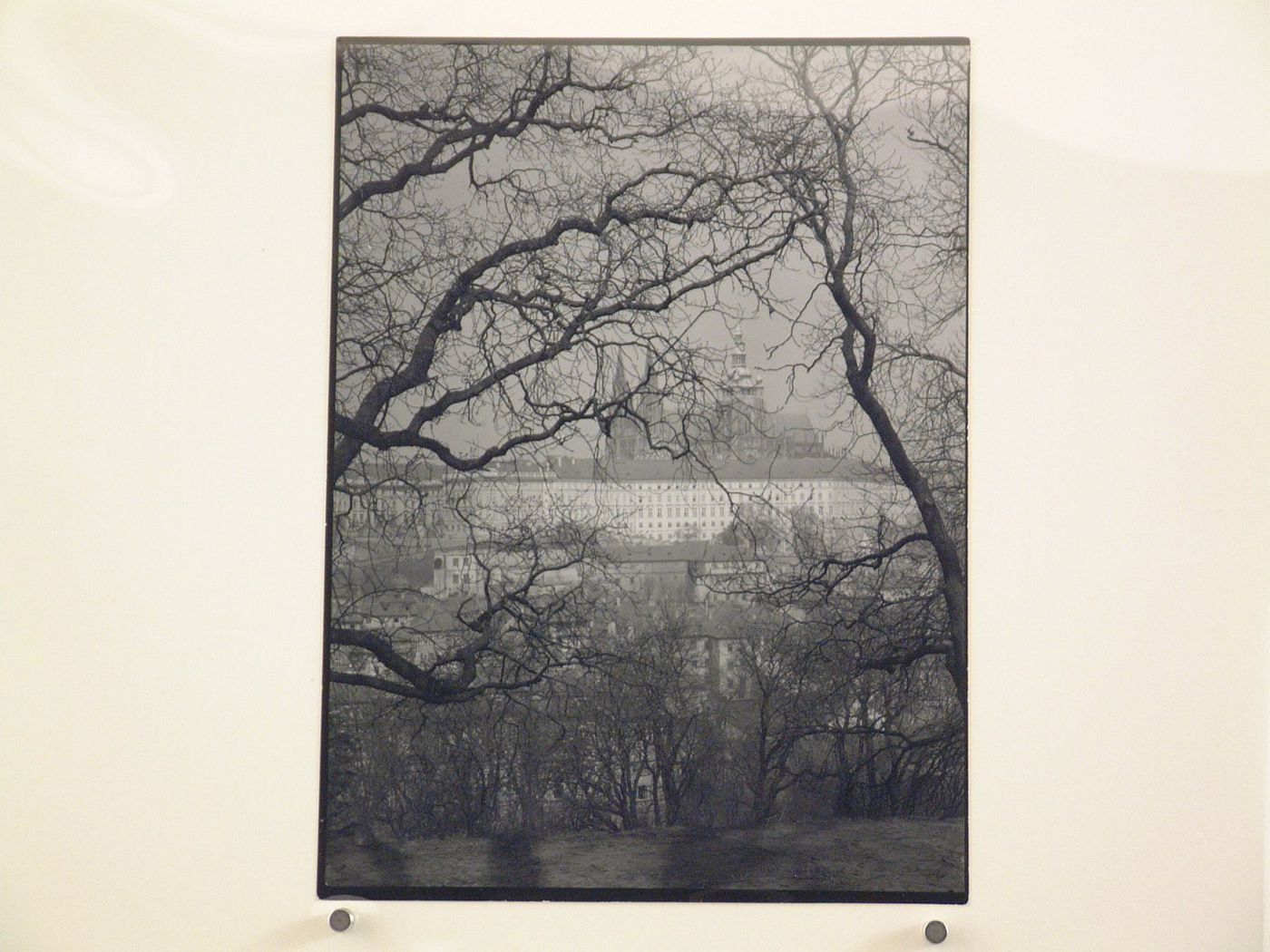 Distant view of the city, especially St. Veits Cathedral towers, through interlaced tree branches, Prague, Czech Republic