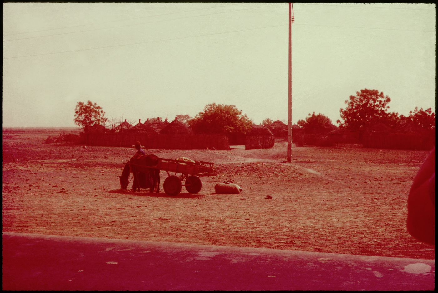 View of person with a horse and wagon, Bahia, Brazil