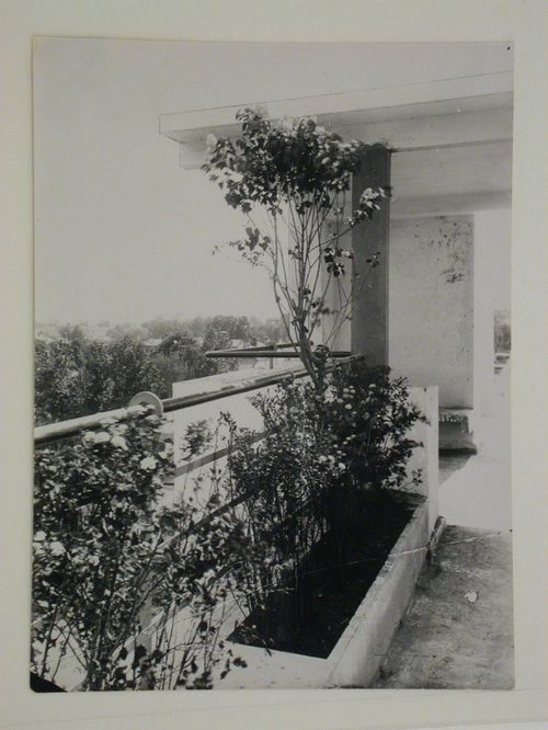 Partial view of the roof garden of the house-commune for State Insurance (Gosstrakh) employees showing railings and a flower bed, 21 Malaia Bronnaia Street, Moscow