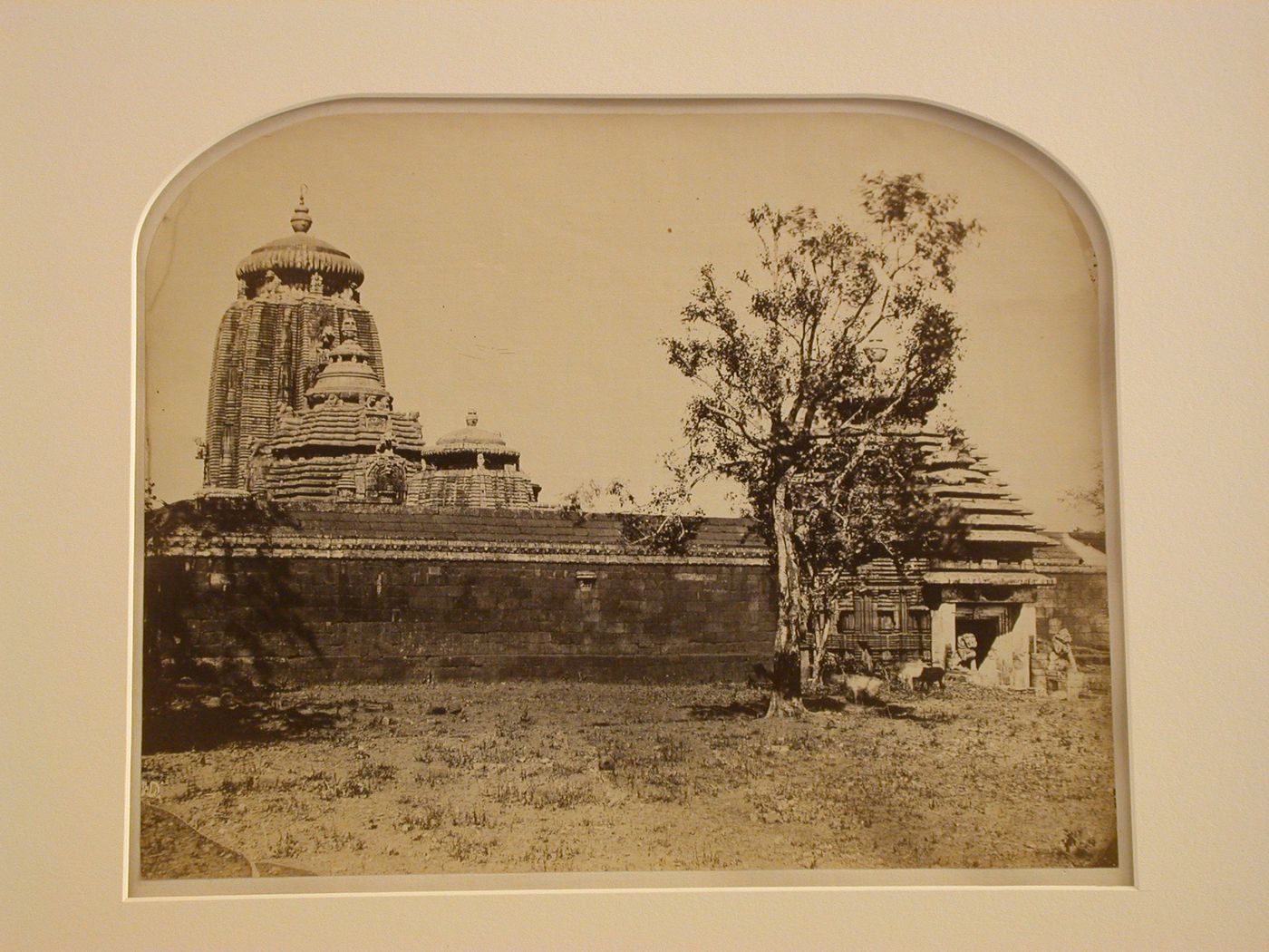 Partial view of the Singh Durwazah [Lion's Gate] with the Lingaraj Temple (also known as the Great Temple) in the background, Bhubaneswar, Orissa, India