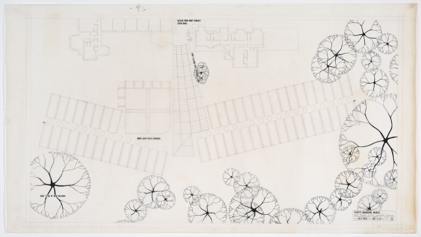 Olivetti Training Centre, Haslemere, England: roof plan