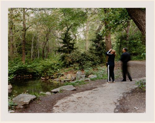 Viewing Olmsted: View of Bird Watchers, The Ramble, Central Park, New York City, New York