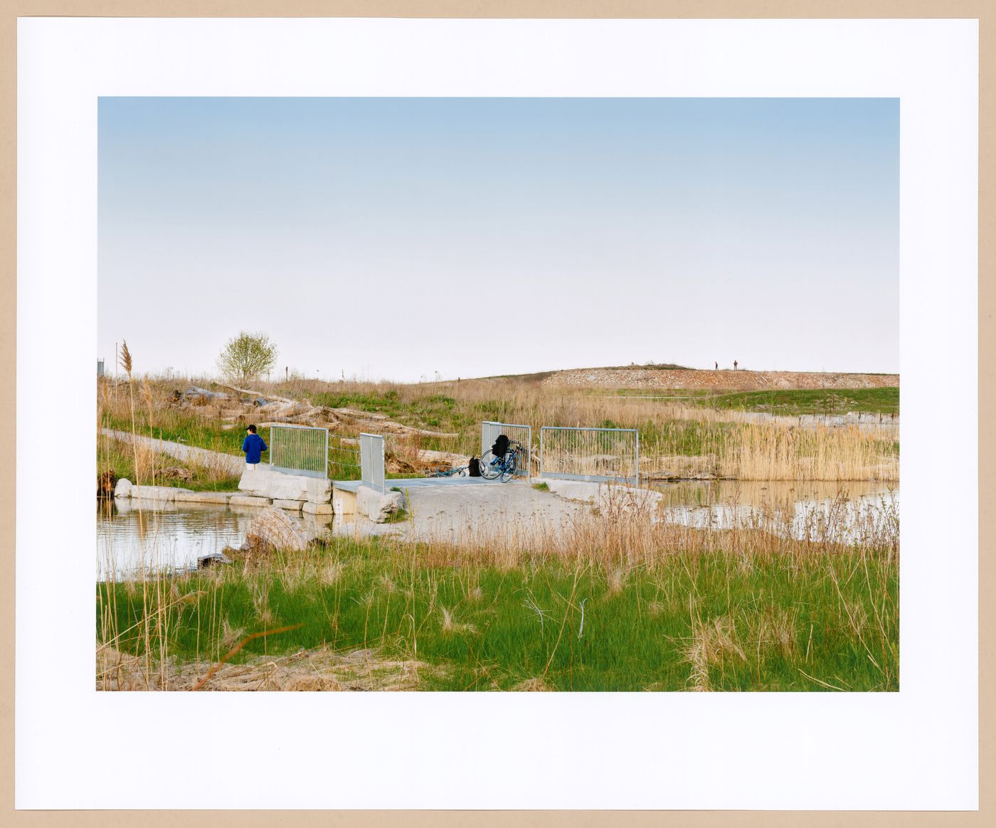 Footbridge in the Wetlands, from the series Accidental Wilderness