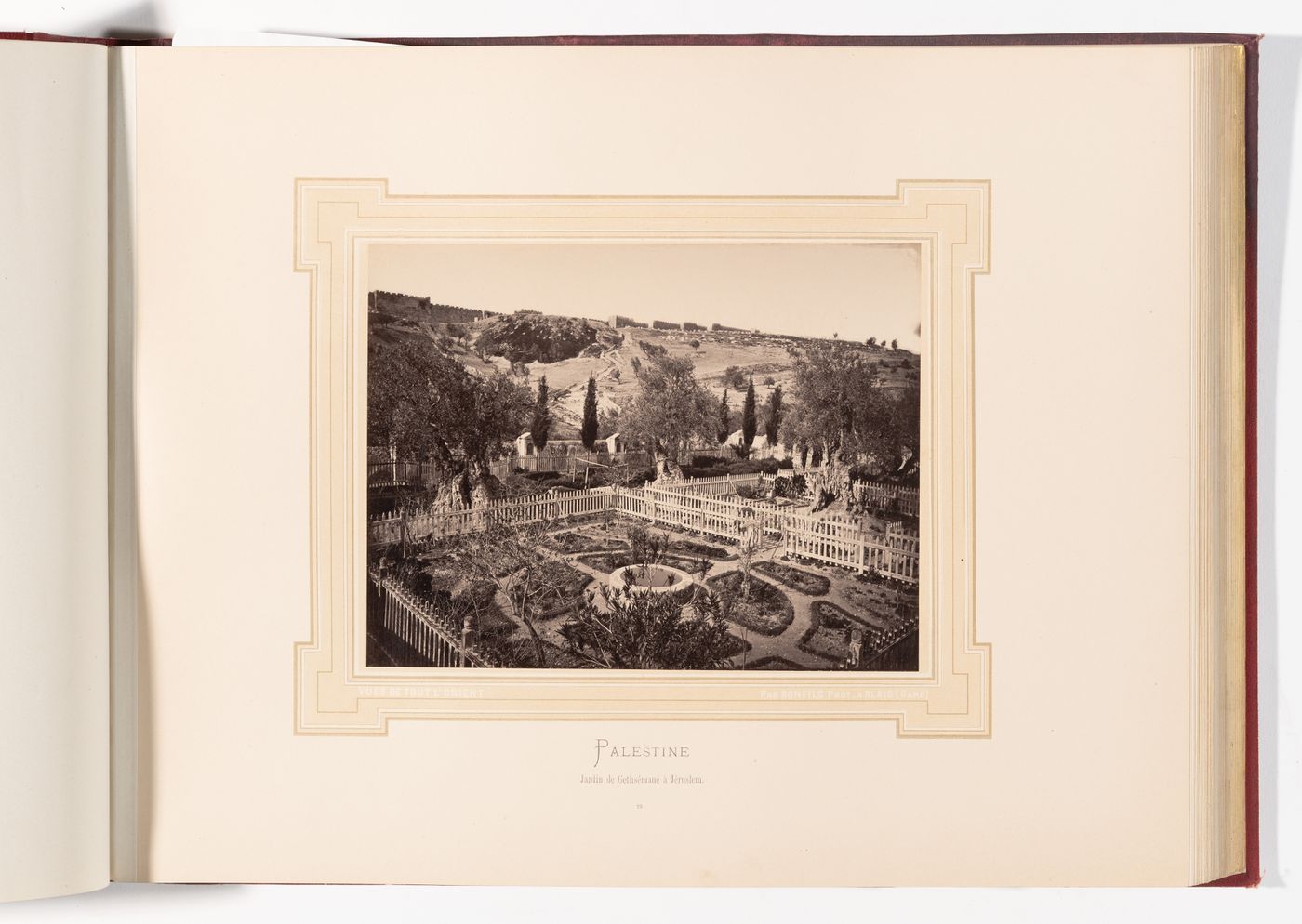 Jardin de Gethsemane a Jerusalem