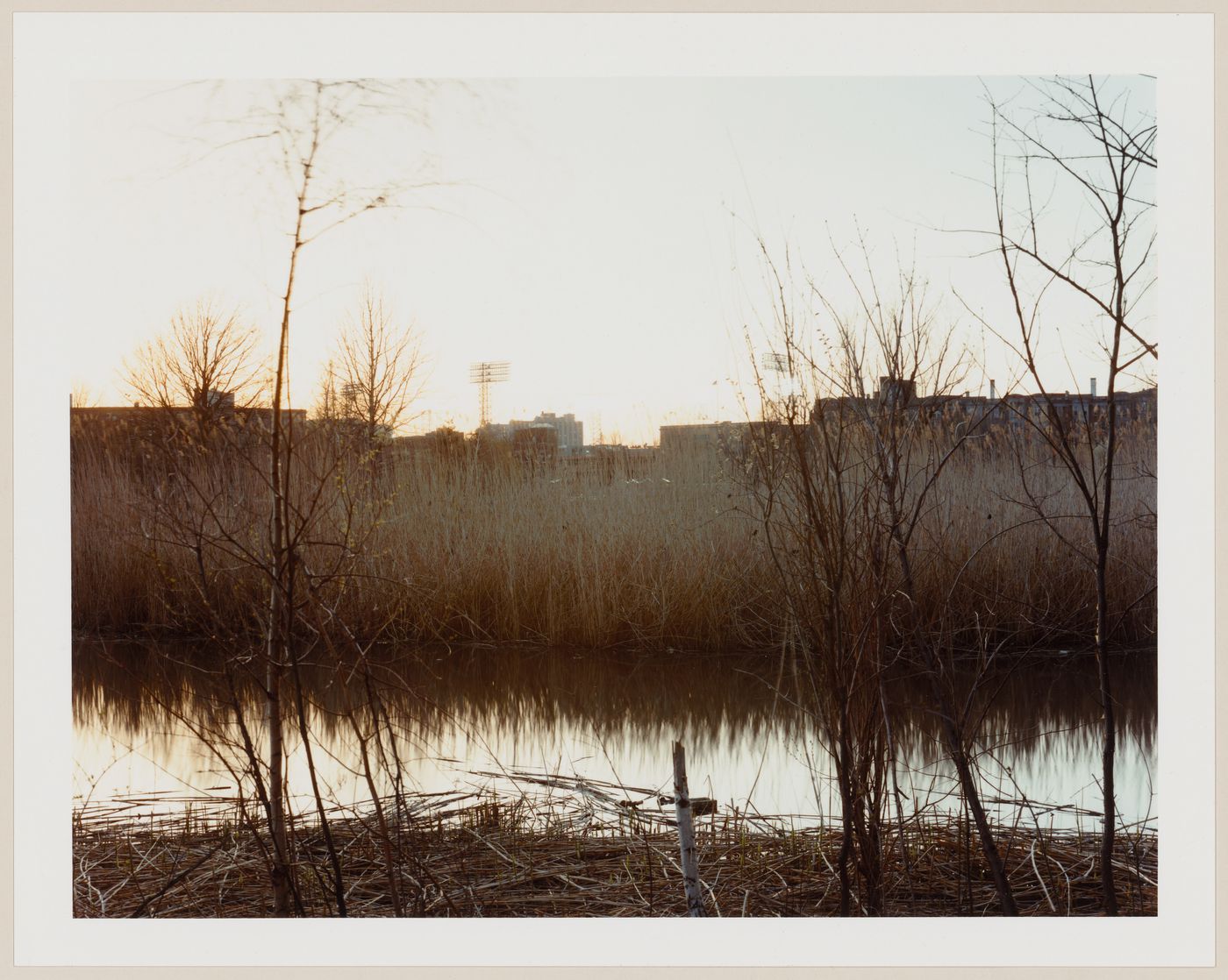 Viewing Olmsted: View of The Back Bay Fens, Boston, Massachusetts