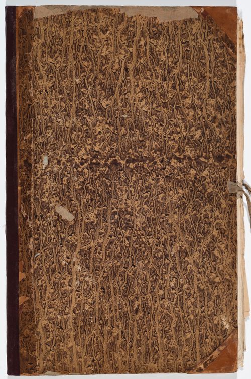 Portfolio of drawings of European zoos in Antwerp, Brussels, Marseille, and Amsterdam