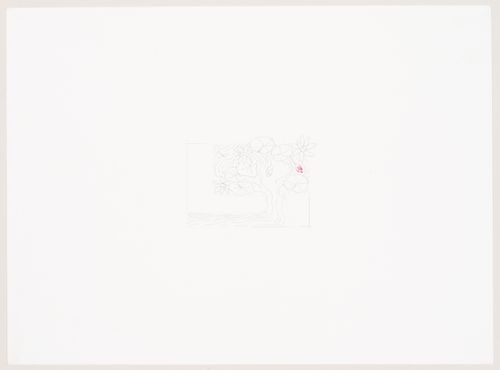 Weavers' Studio : sketch of proposed lily pond