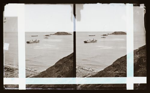 Stereograph of Dead Man's Island, San Pedro Harbor, Los Angeles, California, United States of America