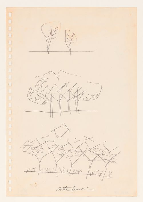 Sketch of a grouping of trees for the Clusters in the Air Project, Tokyo