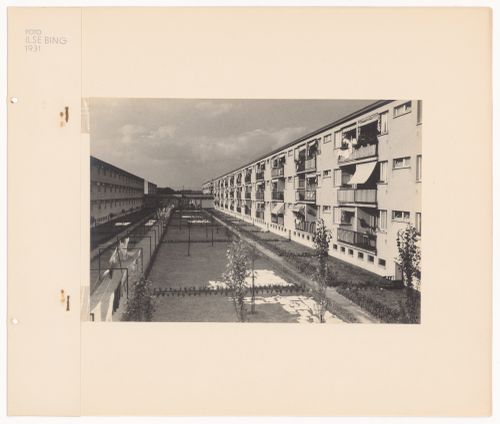 View of gardens with laundry and apartment houses in the Hellerhof Housing Estate, Frankfurt am Main, Germany