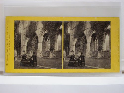 Monmouthshire Illustrated. Tintern Abbey - the Nave Arcade.