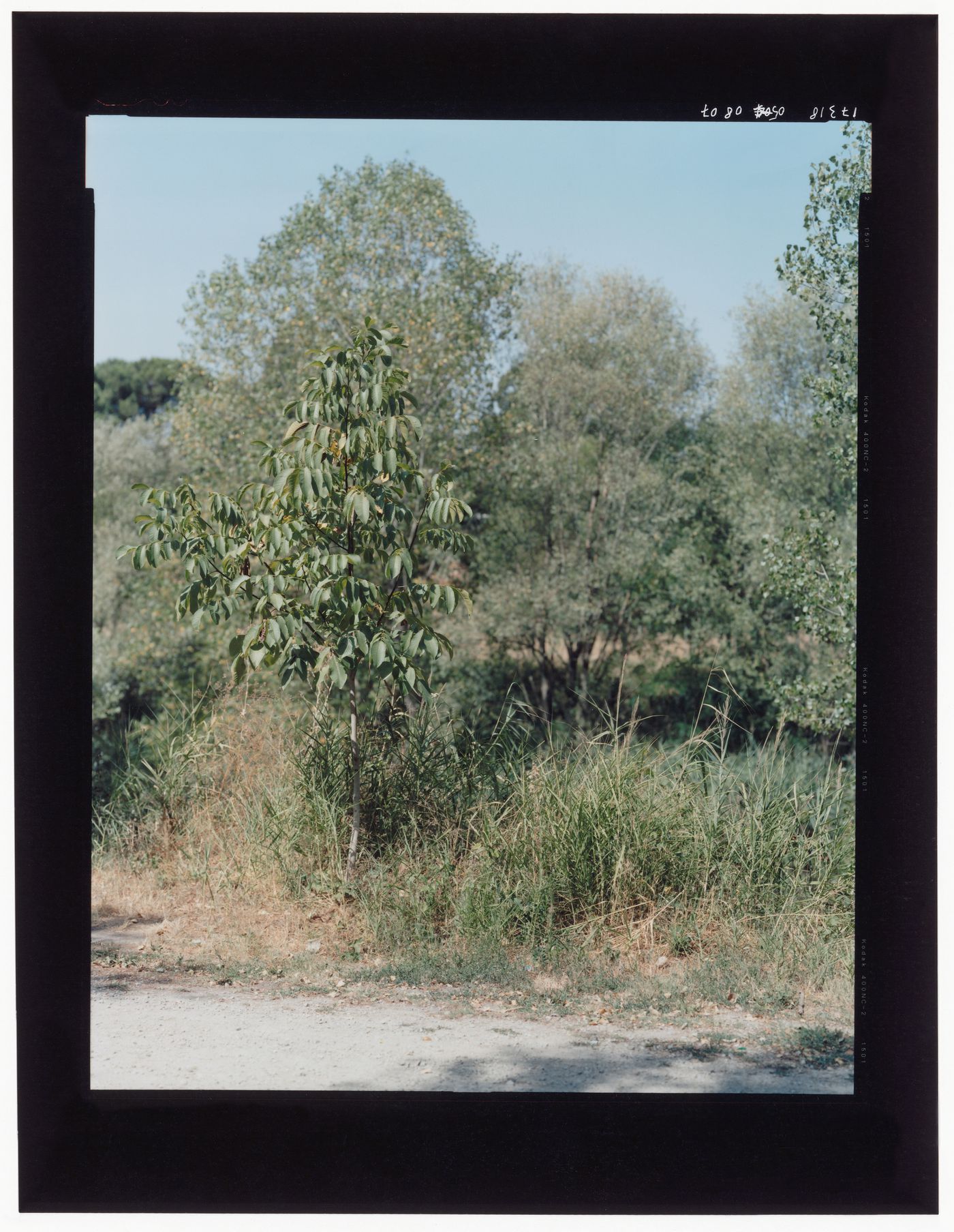 fiume Savio Cesena