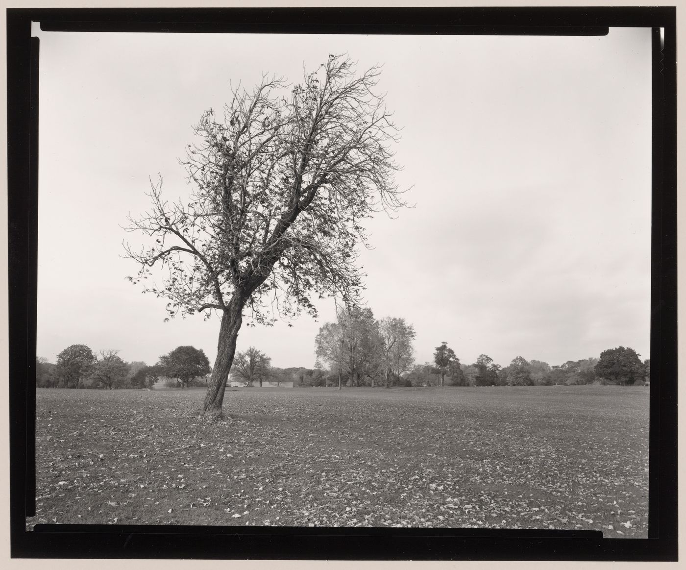 Delaware Park, Buffalo, New York