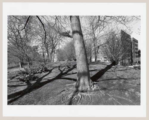 Prospect Park, Brooklyn, New York City, New York