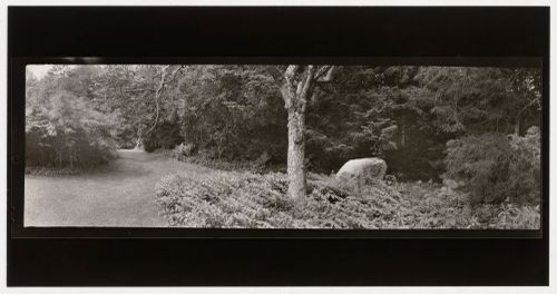 "The Cedars" (detail of garden), Henry Sargent Hunnewell Estate, Wellesley, Massachusetts