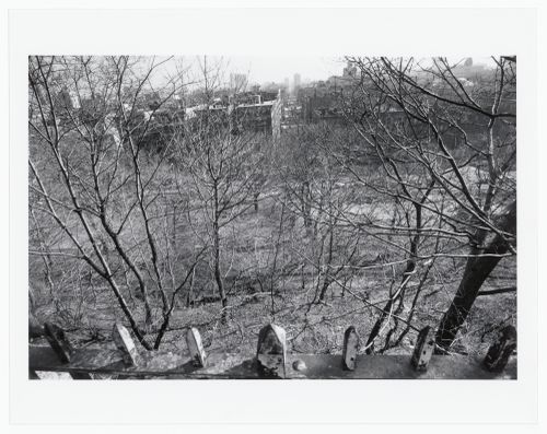 Morningside Park, Bronx, New York City, New York