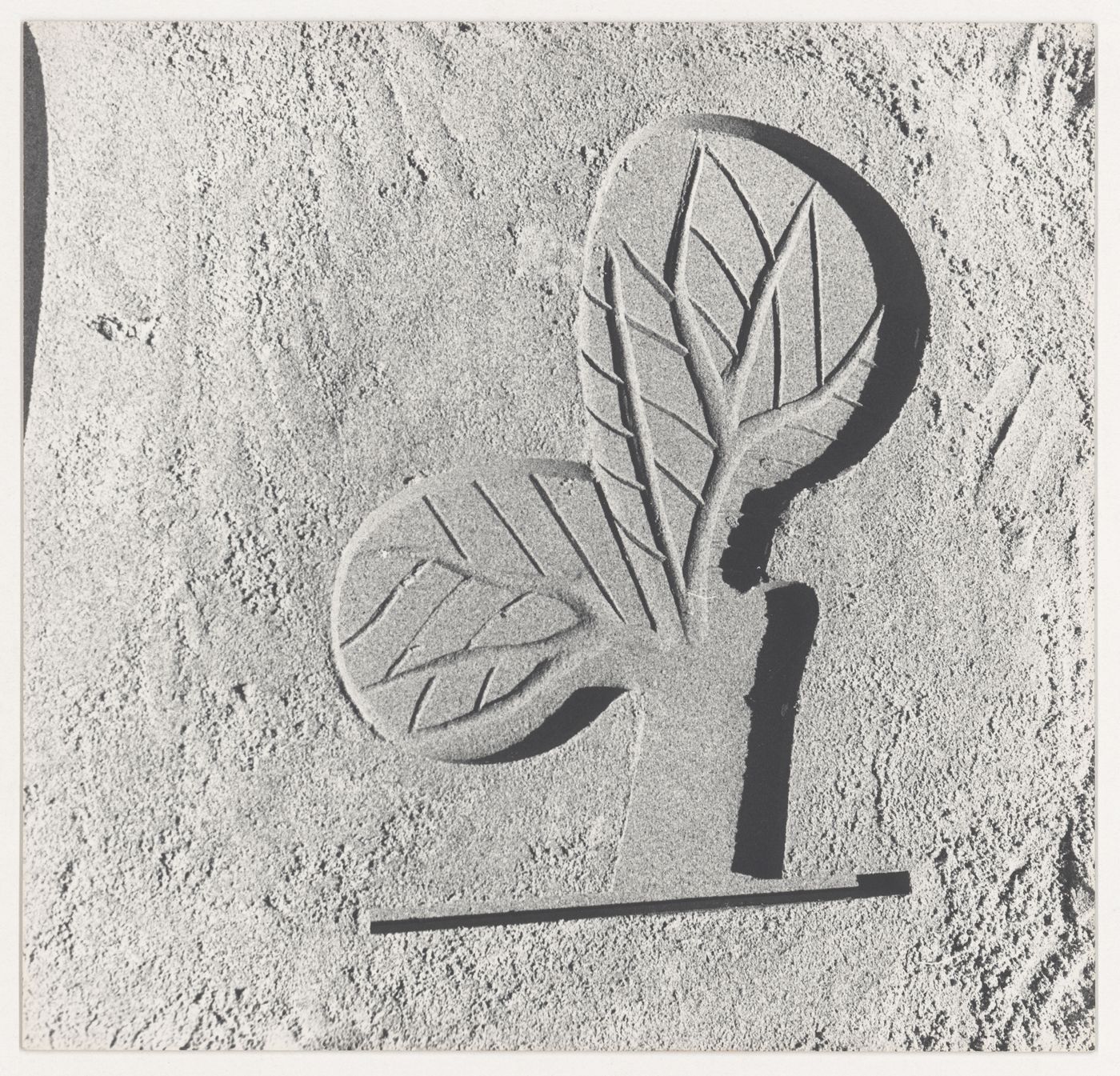View of a bas-relief of a sign by Le Corbusier, Chandigarh, India
