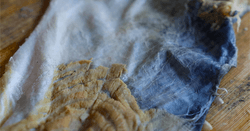 Everlasting, Écailles de poisson