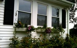 Window boxes made of Koma PVC lumber