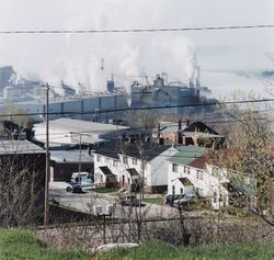 Houses Type 171C, Elm St., looking toward the Tembec factory, Témiscaming, 1995