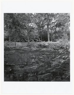 Lee Friedlander, Mount Royal, Montréal