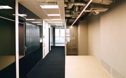 Something Fantastic, Disillusioned Office (a minimally invasive office renovation for the digital industry association Bitkom), Berlin, 2016–ongoing