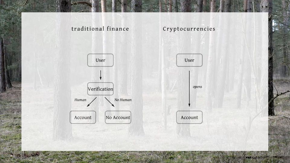 terra0, capture d'écran de la vidéo