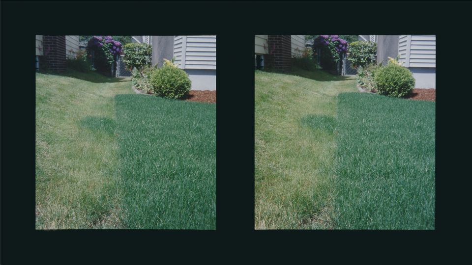 Robert Sansone, from the series "Neighbors"