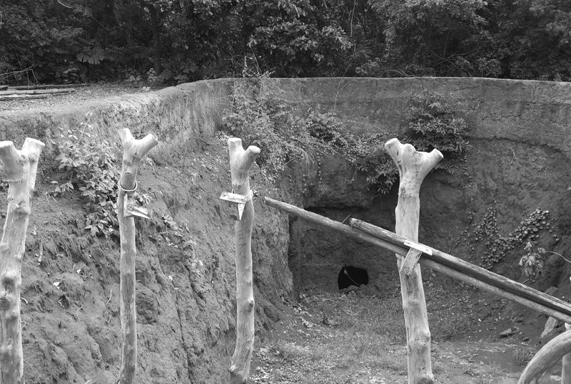 Entrance to 18th (or early 19th) century subterranean “refuge rooms” at Agongointo