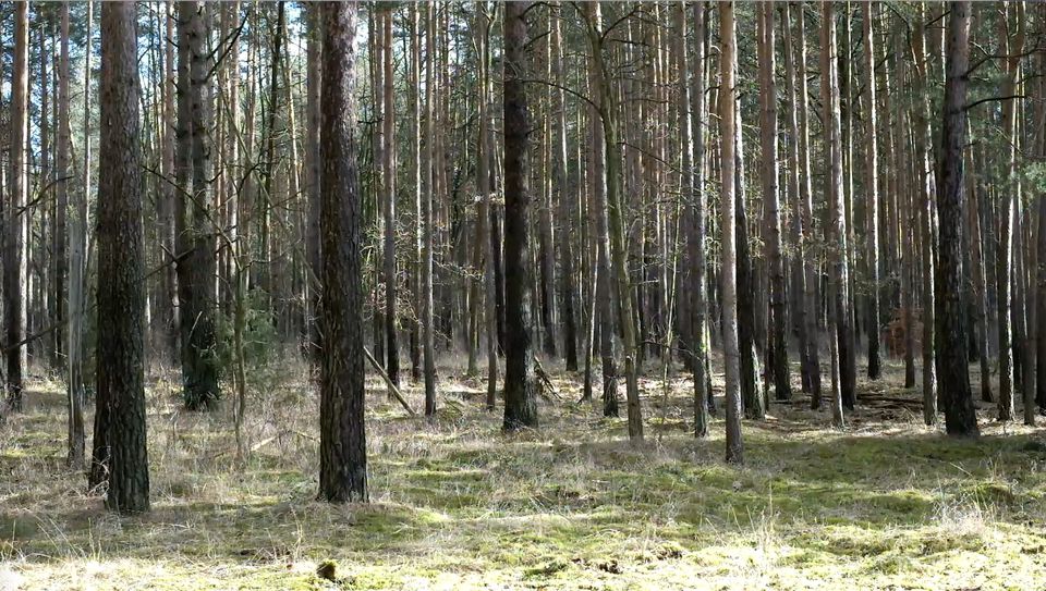 terrra0, capture d'écran de la vidéo