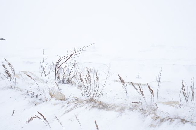 Lake Winnipeg seen from Willow Island