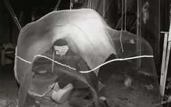 portrait de Frederick Kiesler au travail