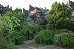 Atelier Iwona Buczkowska, La Piece pointue social housing, Blanc-Mesnil