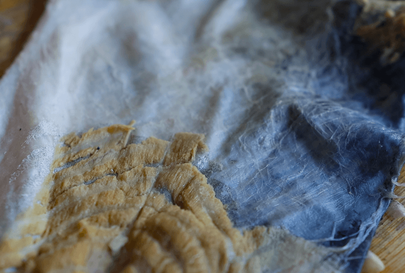 Everlasting, Écailles de poisson