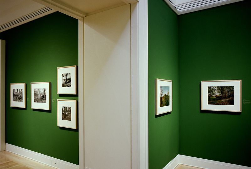 Viewing Olmsted: Photographs by Robert Burley, Lee Friedlander, and Geoffrey James