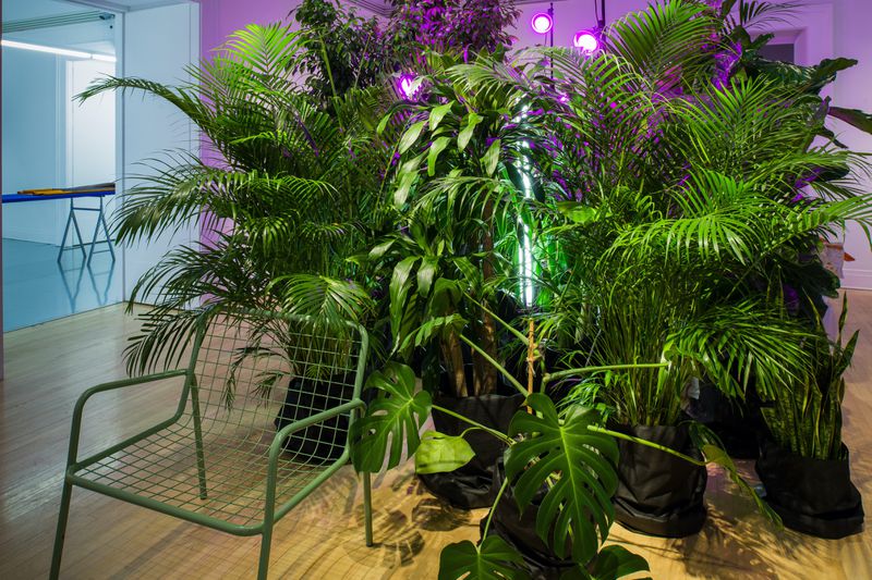 Installation view, The Things Around Us: 51N4E and Rural Urban Framework