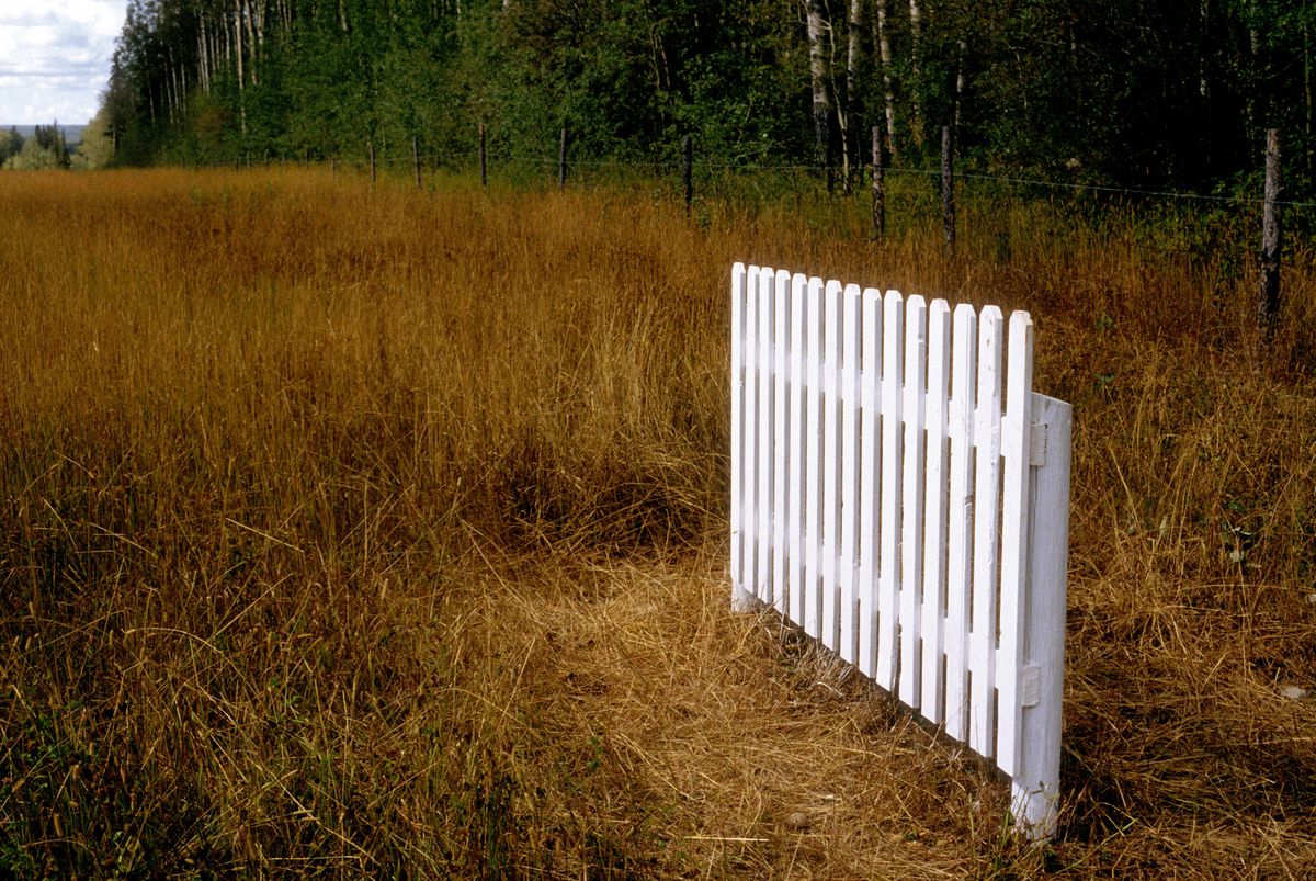 Peter von Tiesenhausen, The Lifeline