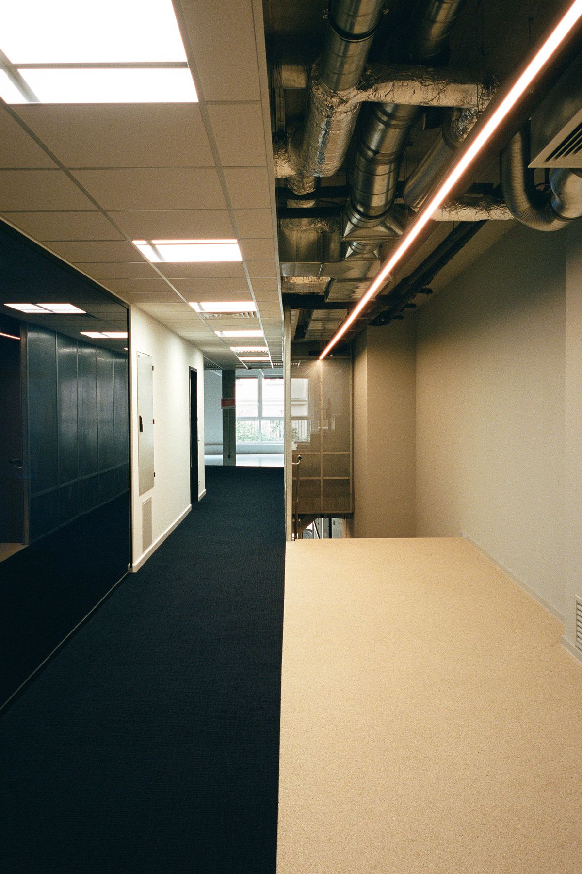 Something Fantastic, Disillusioned Office (a minimally invasive office renovation for the digital industry association Bitkom), Berlin, 2016–ongoing